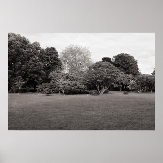 Zwei für die Freude (Warm Toned) Poster (Vorne)