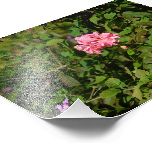 Zwei für eins fotodruck (Ecke)