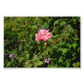 Zwei für eins fotodruck (Vorne)