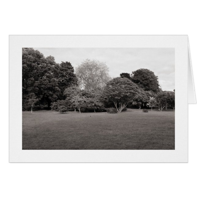 Zwei für Freude (Warm Toned BW Bordering) (Vorderseite (Horizontal))