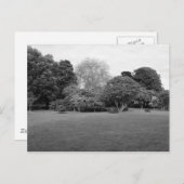 Zwei für Joy Postkarte (Vorne/Hinten)