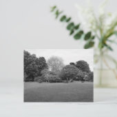 Zwei für Joy Postkarte (Stehend Vorderseite)