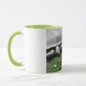 Zwei fütternd Schildkröten Tasse (Links)