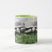 Zwei fütternd Schildkröten Tasse (Zentrum)