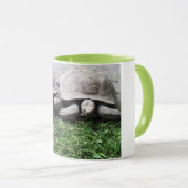 Zwei fütternd Schildkröten Tasse (VorderseiteRechts)