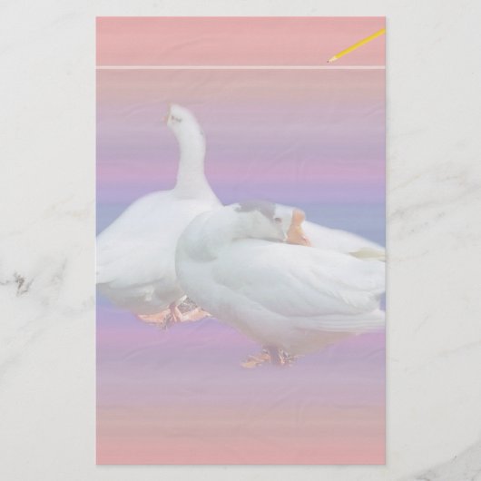 zwei Gänse im extravaganten Hintergrund Briefpapier (Vorderseite)