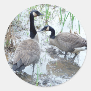 Zwei Gänseaufkleber Runder Aufkleber