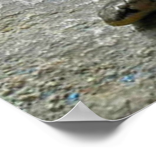 Zwei gehackte Schlange Poster (Ecke)