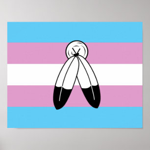 Zwei-Geist-Trans-Pride-Flagge Poster