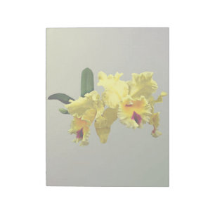 Zwei gelbe Cattleya-Orchideen Notizblock