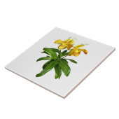 Zwei gelbe Dame Slipper Orchids Fliese (Seite)