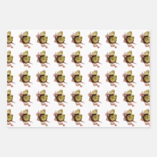 zwei gelbe Küken, Ostern Geschenkpapier Set (Vorderseite)