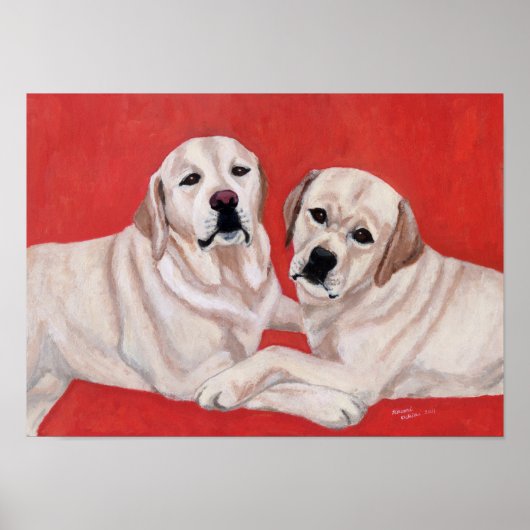 Zwei gelbe Labradors-Artwork Poster (Vorne)