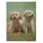 Zwei gelbe Läppchen Notizblock (Vorderseite)