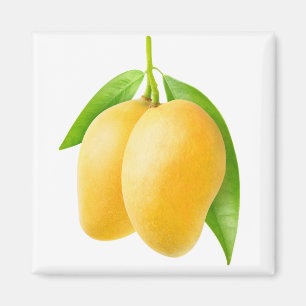 Zwei gelbe Mango-Früchte Magnet