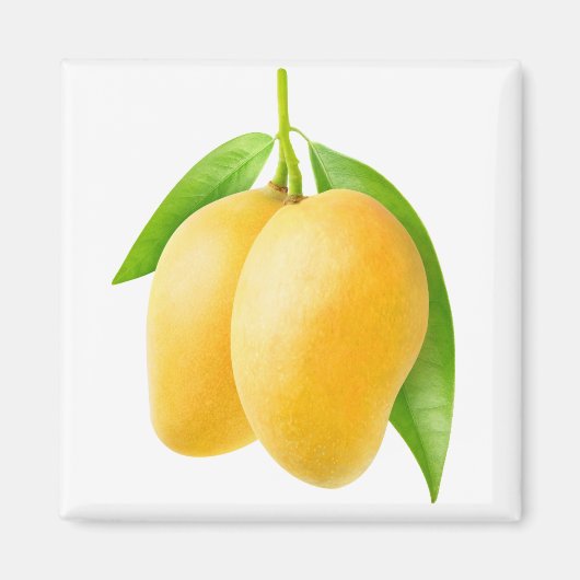 Zwei gelbe Mango-Früchte Magnet (Vorne)
