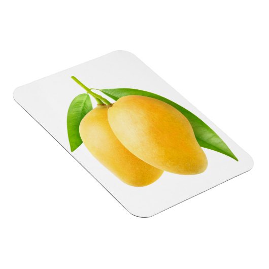 Zwei gelbe Mango-Früchte Magnet (Rechte Seite)