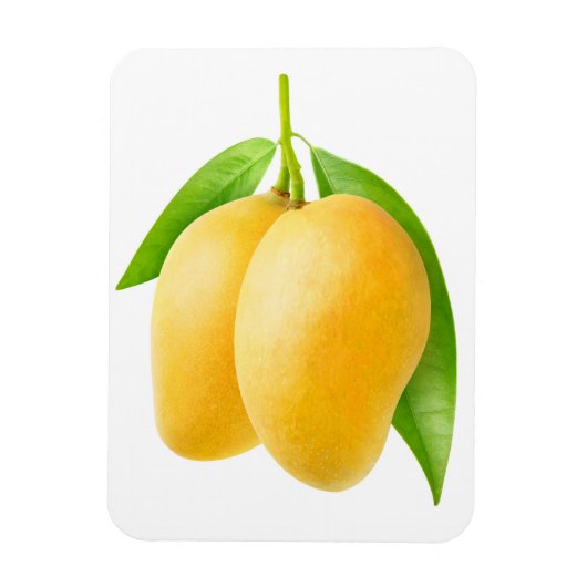 Zwei gelbe Mango-Früchte Magnet (Vertikal)