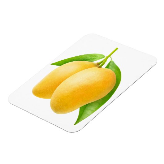 Zwei gelbe Mango-Früchte Magnet (Linke Seite)