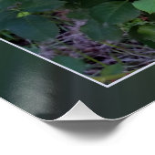 zwei gelbe Rosen Poster (Ecke)