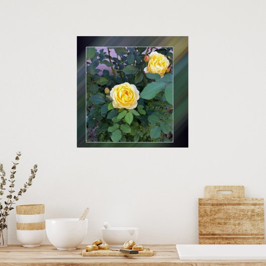 zwei gelbe Rosen Poster (Küche)