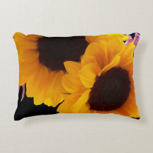 Zwei gelbe Sonnenblumen