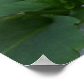 zwei gelbe Stiefmütterchen Poster (Ecke)