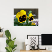 zwei gelbe Stiefmütterchen Poster (Heimbüro)