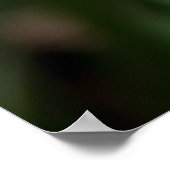 Zwei gelbe Tulpen in der Feldpfoto Poster (Ecke)