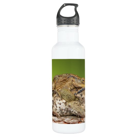 Zwei gemeine Kröten Bufo Bufo zusammen Trinkflasche (Vorderseite)