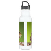 Zwei gemeine Kröten Bufo Bufo zusammen Trinkflasche (Rückseite)