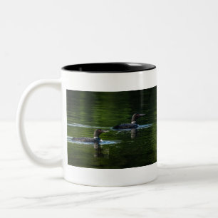 Zwei gemeinsame Löwen Zweifarbige Tasse