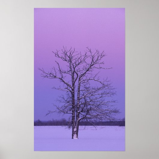 Zwei gepflasterte Bäume bei Sonnenaufgang; Chippew Poster (Vorne)