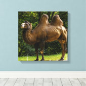 Zwei gepolsterte Camel Canvas Leinwanddruck (Insitu (Holzboden))