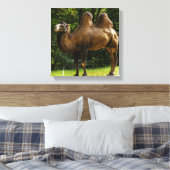 Zwei gepolsterte Camel Canvas Leinwanddruck (Insitu (Schlafzimmer))
