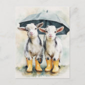 Zwei Gepunktete Babyziegen am Regentag Postkarte (Vorderseite)