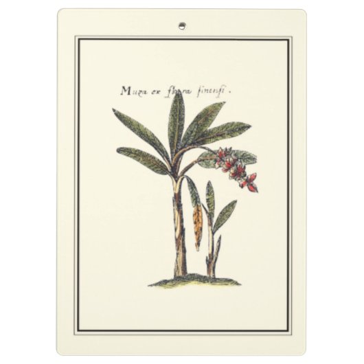 Zwei gerahmte Miniaturpalmen Klemmbrett (Rückseite)