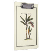 Zwei gerahmte Miniaturpalmen Klemmbrett (Rechts)