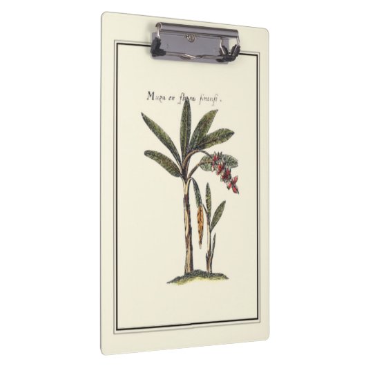 Zwei gerahmte Miniaturpalmen Klemmbrett (Rechts)