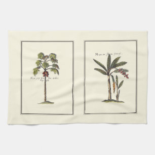 Zwei gerahmte Miniaturpalmen Küchentuch