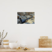 Zwei Geräte mit Box-Typ verpackt Poster (Küche)