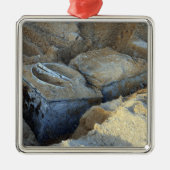 Zwei Geräte mit Box-Typ verpackt Silbernes Ornament (Vorne)