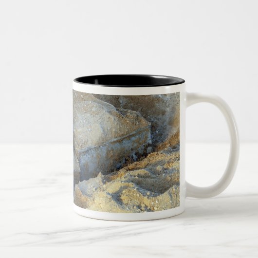 Zwei Geräte mit Box-Typ verpackt Zweifarbige Tasse (Rechts)