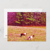 Zwei gestrichene Pferde Postkarte (Vorne/Hinten)