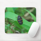 Zwei gezeichnetes Spittlewanze mousepad (Mit Mouse)