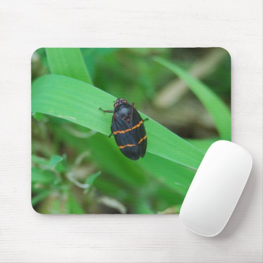Zwei gezeichnetes Spittlewanze mousepad (Mit Mouse)