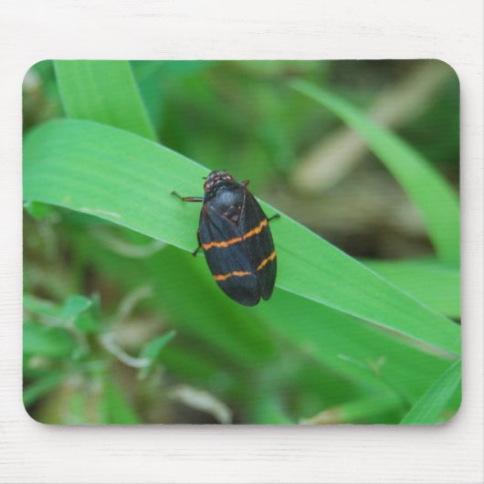 Zwei gezeichnetes Spittlewanze mousepad (Vorne)