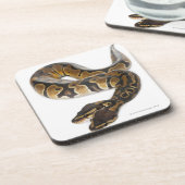 Zwei gingen königliche Pythonschlange oder Untersetzer (Linke Seite)