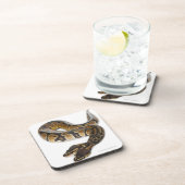 Zwei gingen königliche Pythonschlange oder Untersetzer (Rechte Seite)