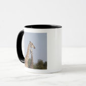 Zwei Giraffe, Kruger Nationalpark, Südafrika Tasse (Vorderseite Links)